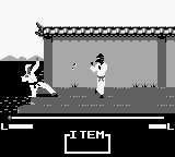 Master Karateka screenshot 5 for GameBoy